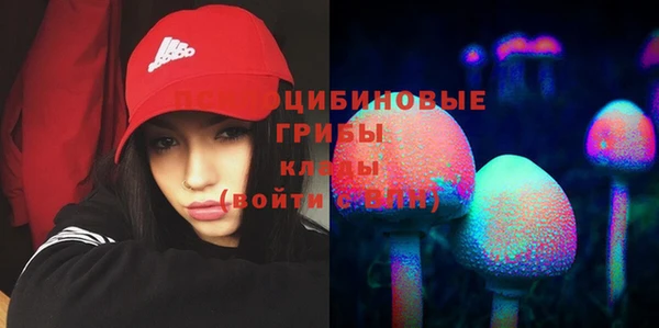 COCAINE Бородино