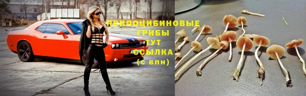 твердый Бронницы
