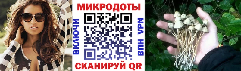 Галлюциногенные грибы мухоморы  Фёдоровский 